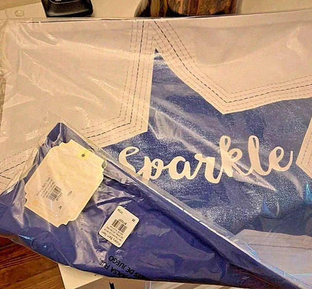 Pottery Barn Holiday Disney star teen girl Dorm party gift sparkle Pillow sham =