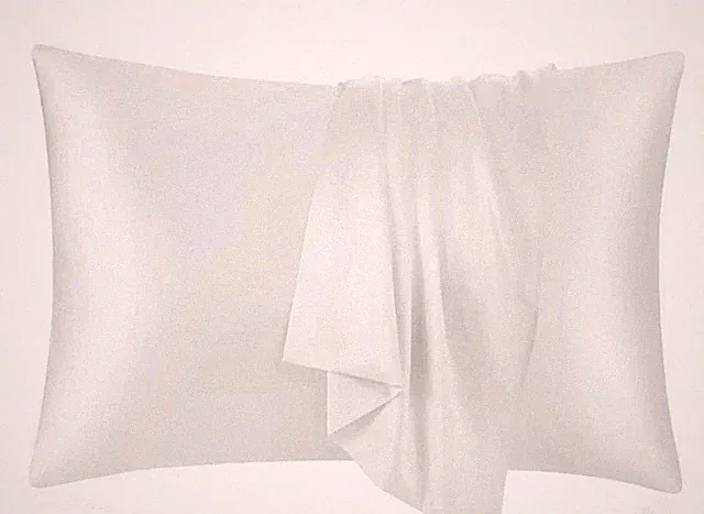 Premium ECOSA Luxurious 30 Momme 100% Mulberry Silk Pillowcase (50x70cm) – 6A
